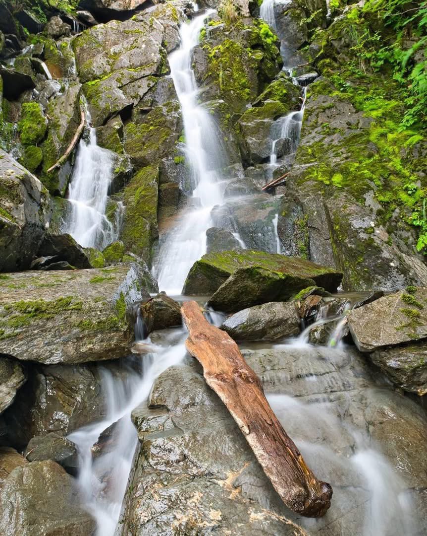 dneeljrphoto's tweet image. Here’s the setup… and here’s the shot. Small little waterfall I found hidden outside of Seward Alaska last summer. 

#Nikonusa D850 #withmytamron 24-70mm f/2.8 G2 #reallyrightstuff tripod and ballhead