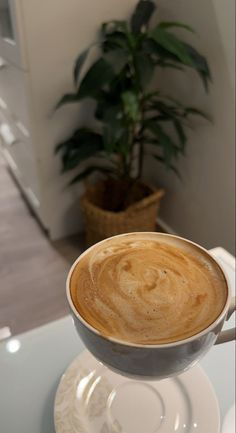 Coffee and comfort, the perfect pair.