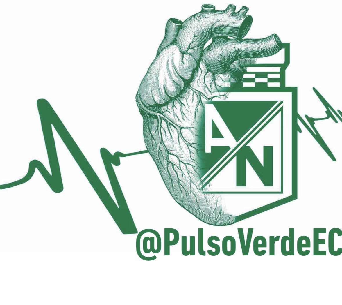 Pulso Verde tweet media