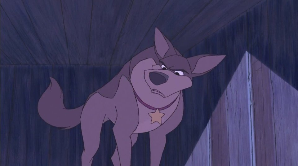 Amber (@ambersaluki) on Twitter photo 