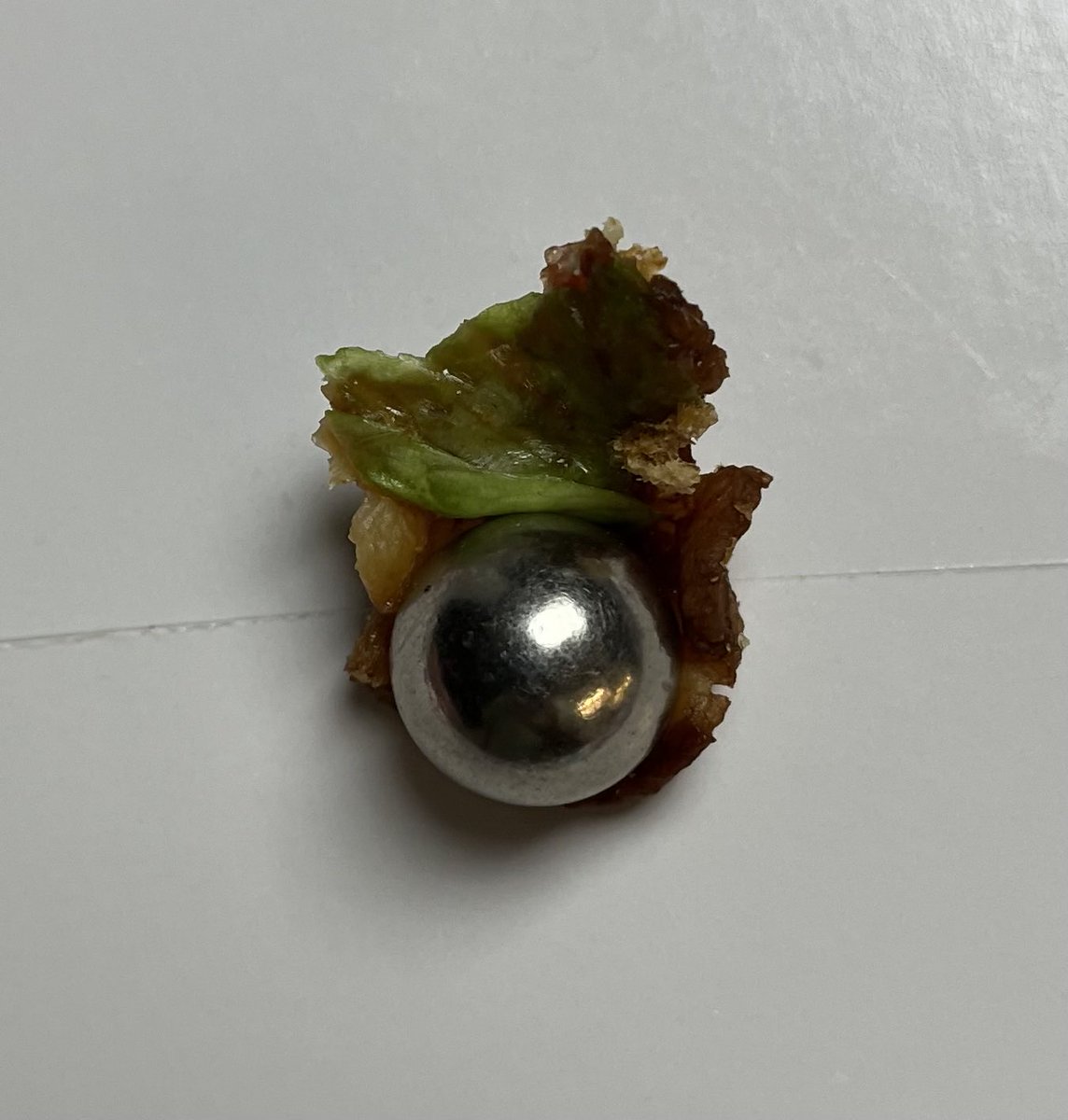 LescatreLibrary's tweet photo. December 15th, 2024 — Presenting the birth of Mr. Baconball! (Photo 2) — Copyright © 2024 Lescatre Production Gags, Inc. All Rights Reserved. #Art #Cartoonist #ComicStrip #Photo #Pinball #Baconball #MrBaconball #ExtraBall #SilverBall #Bacon #Lettuce #Humor #Lescatre https://t.co/1Dn0Sq6V0k