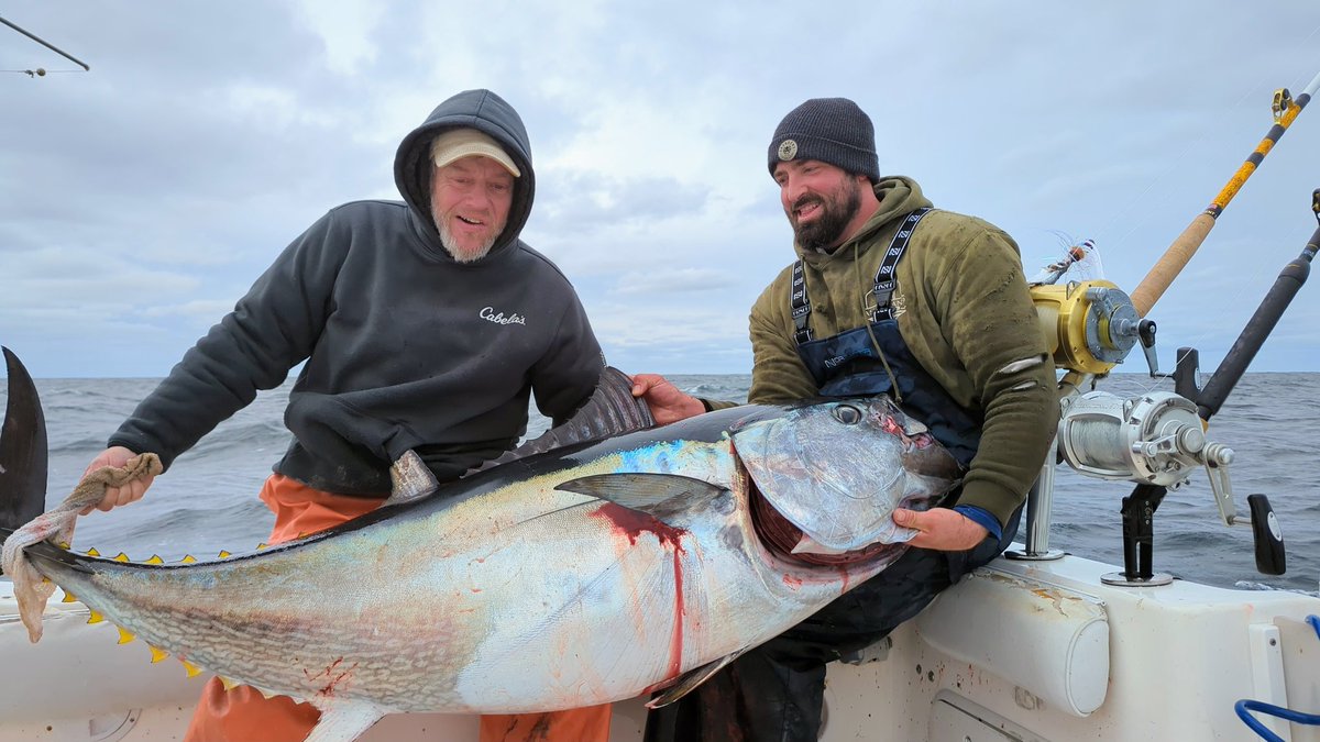 FishingStatus's tweet image. 4 for 6 on Bluefin Tuna today out of OCMD. #bluefin #ocmd #fishing