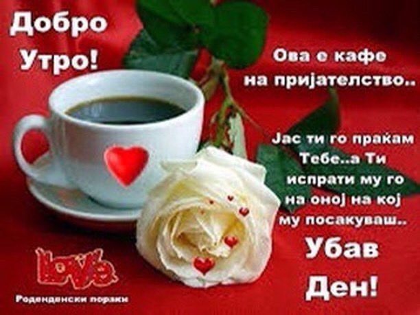 Vrata8's tweet photo. @TamperKo @Stake https://t.co/std0qu4KoV