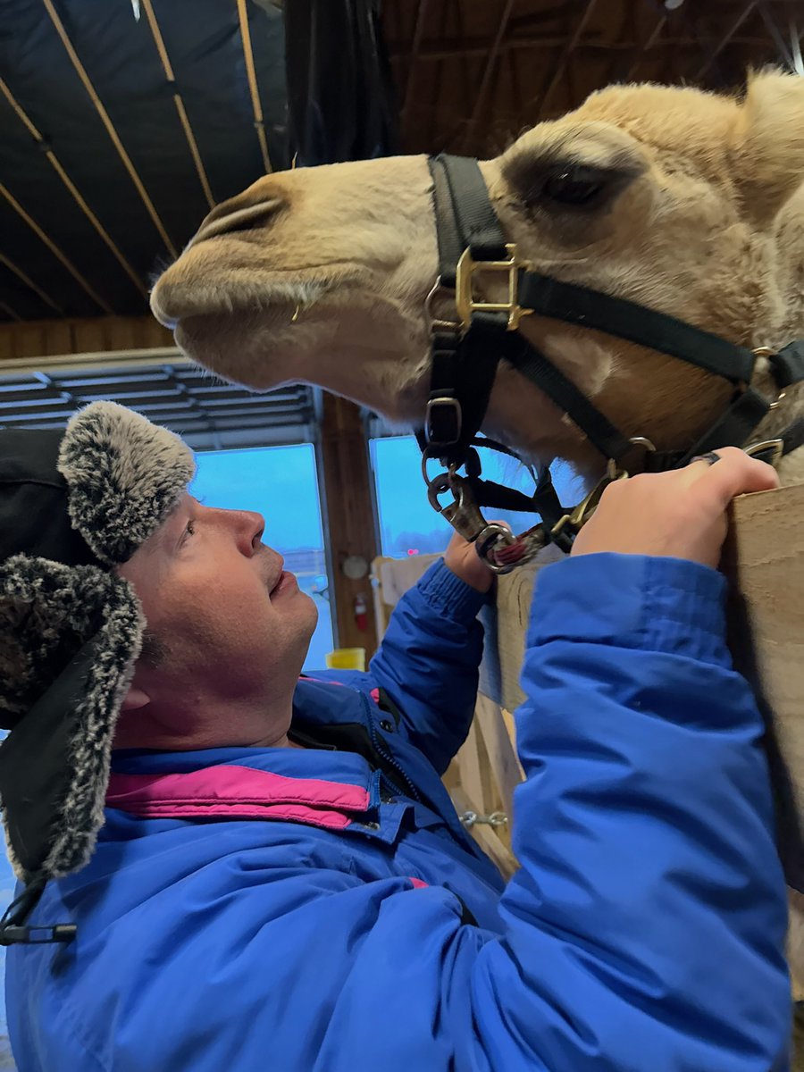 JonathanESmith's tweet photo. There is great sadness as tonight is the final night of the #livingnativity and thus I must whisper goodbye until next year. #camelwhisperer https://t.co/WR7sKQAe9E