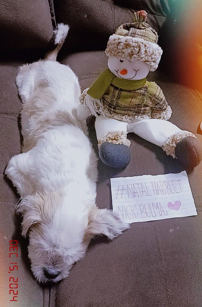 mystihbt's tweet image. COMPETIÇÃO: Noz - Um Nat-Au Animal!  Nick: Bulma, #NatalHabblet 😍Bidu