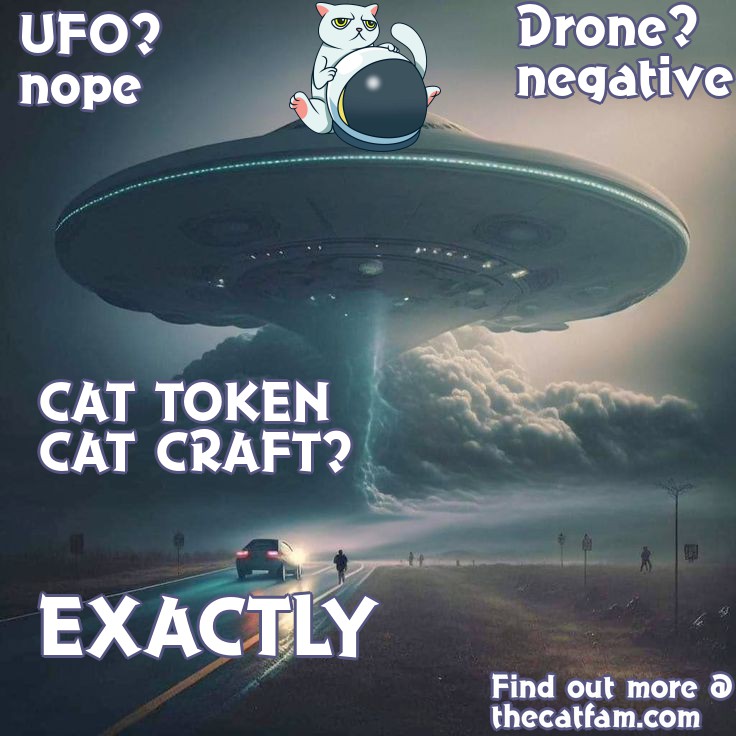 shortonNFTs's tweet photo. @ActuallyAgents These are not aliens, these are cats.
The great #CATinvasion is taking place.
It would be best to side with the cats @ https://t.co/j4kiNkWizj
CA:
0x56015bbe3c01fe05bc30a8a9a9fd9a88917e7db3
It's best to own at least 10,000 $CAT coins to avoid being #abducted. https://t.co/SuoN34V5tw