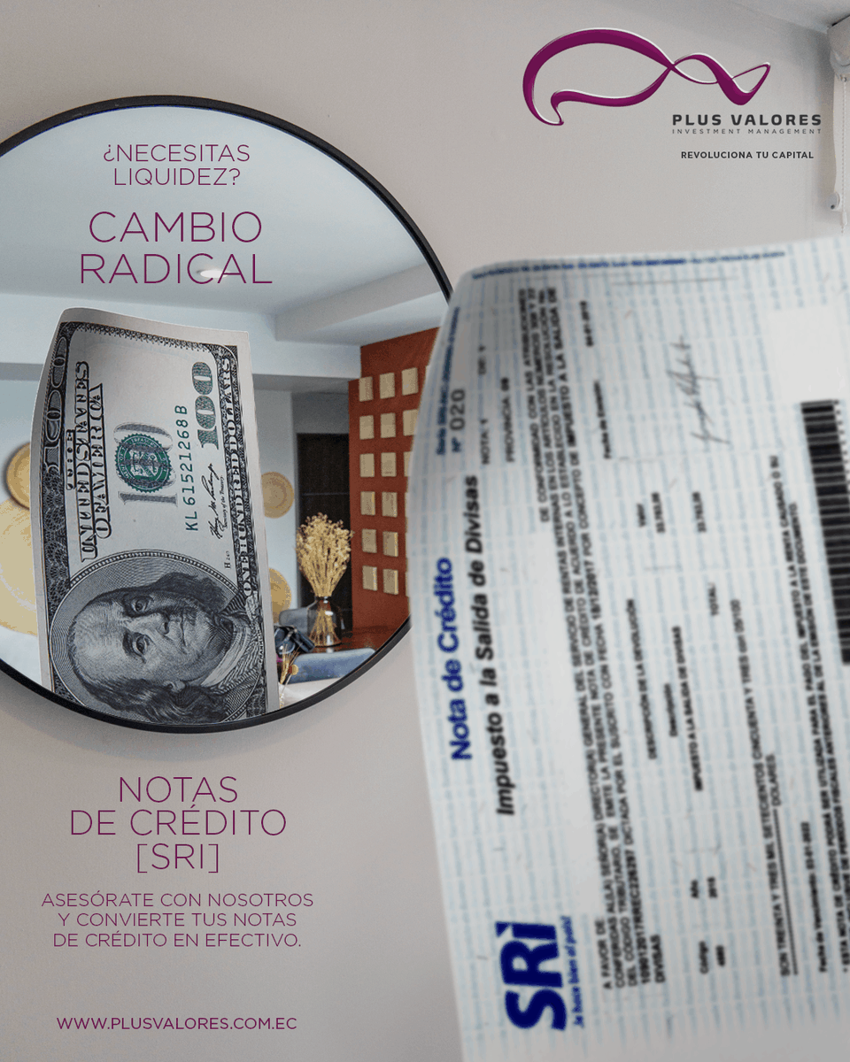 Plus Valores - Investment Management tweet media