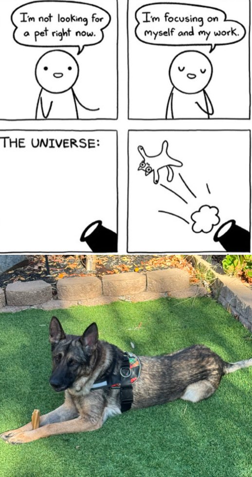 Paul Johnson Rogers tweet media