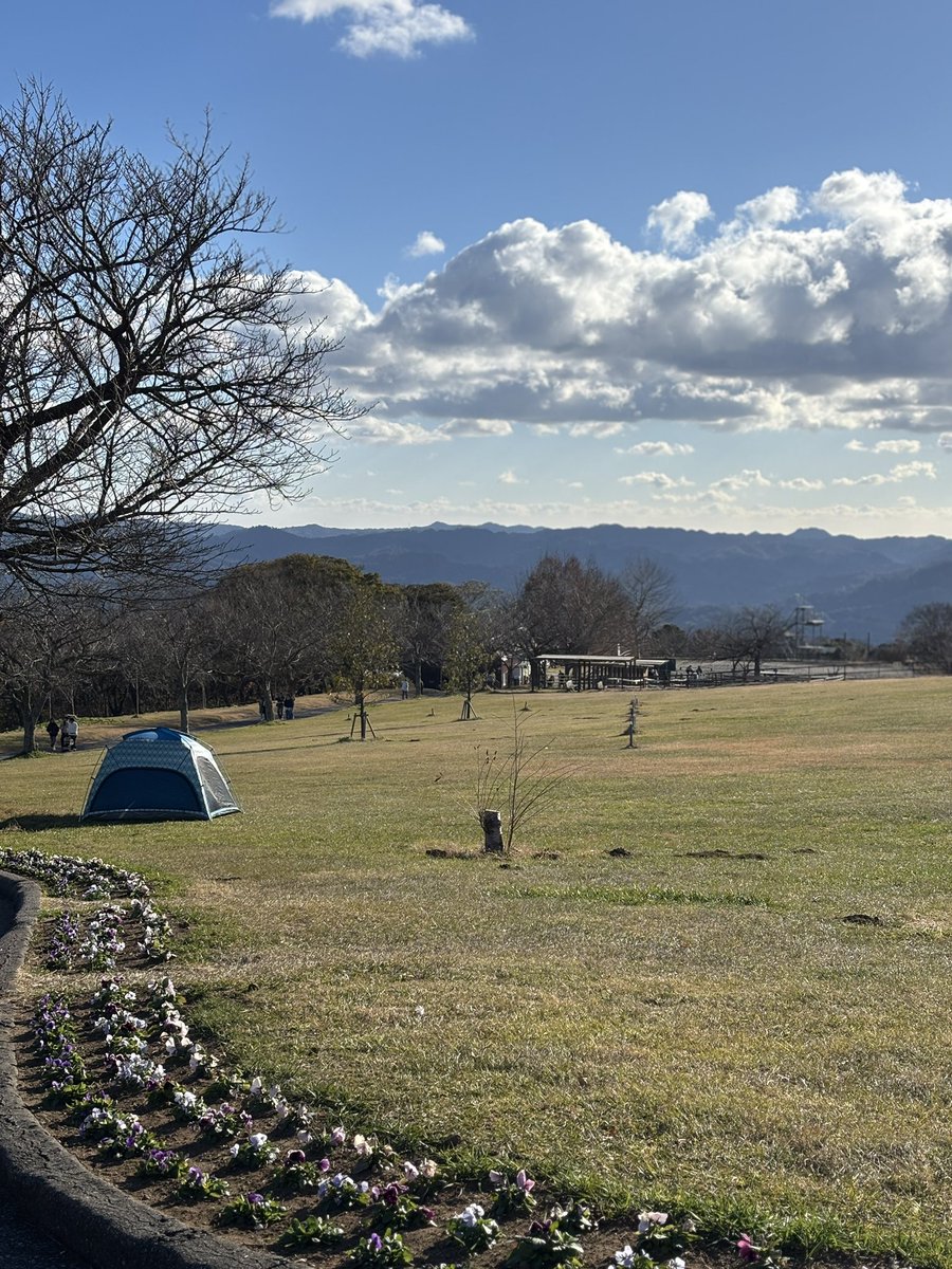 mrnordnt's tweet photo. Bitcoin has risen, and altcoins like XRP have also seen an increase. I believe we could see Bitcoin reaching $125,000 and XRP hitting $15 soon. This is just my personal speculation but feel free to ask Grok for analysis. #Japan #Tokyo #MothersFarm #Grok #Bitcoin #XRP #Ripple #BTC