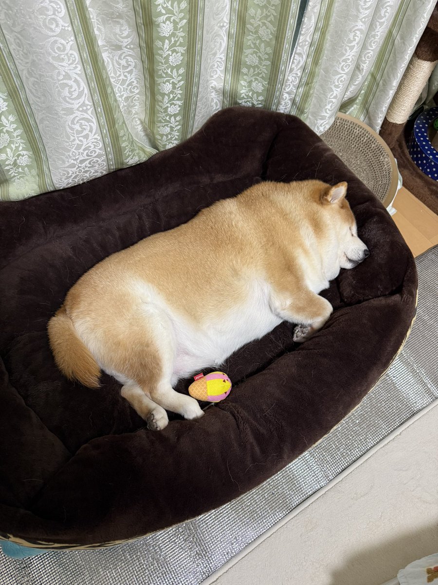 uminmii's tweet image. 