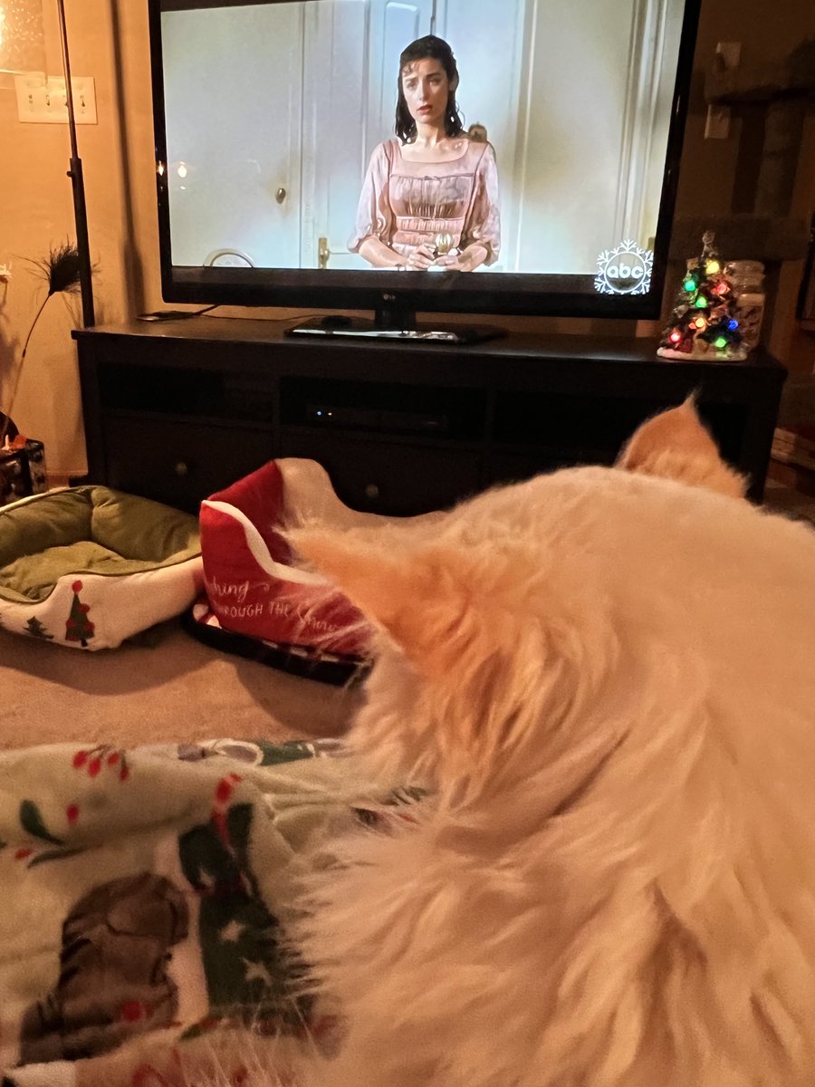 🐛🌷Dean🦋🪴 tweet media