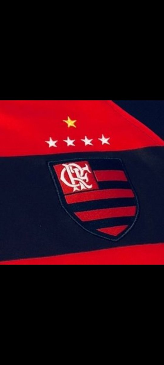 Galvão Caçador de porcús 🔴⭐⚫ tweet media