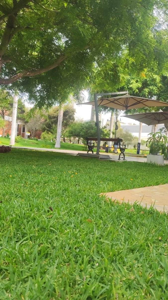 Rojo_Torco's tweet photo. @riparchibaldp @sarixdee No elegimos vivir en un arenal, un arbol que dé sombra es demasiado costoso, son pocos los distritos que pueden costearlo https://t.co/4F7q1fspl2