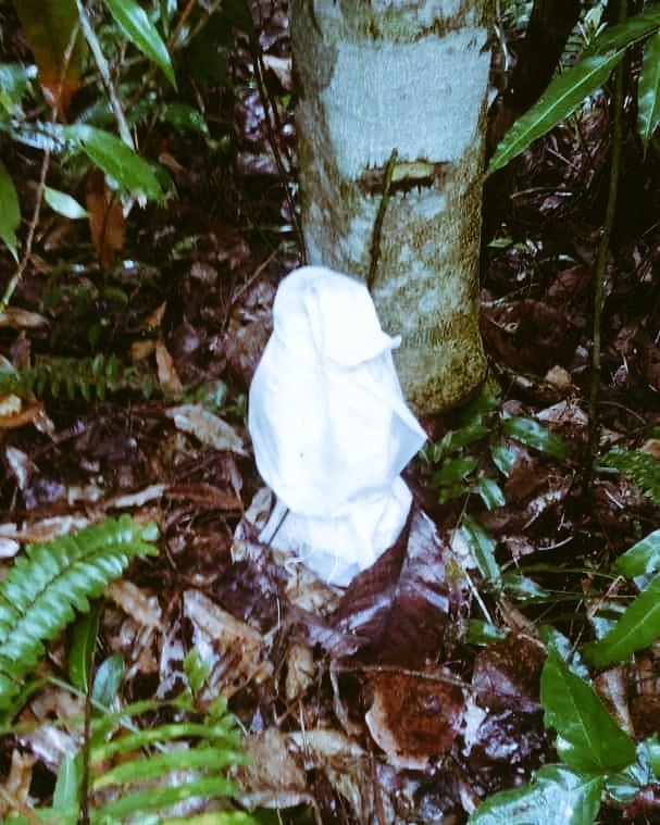 CERITA SISKA tweet media