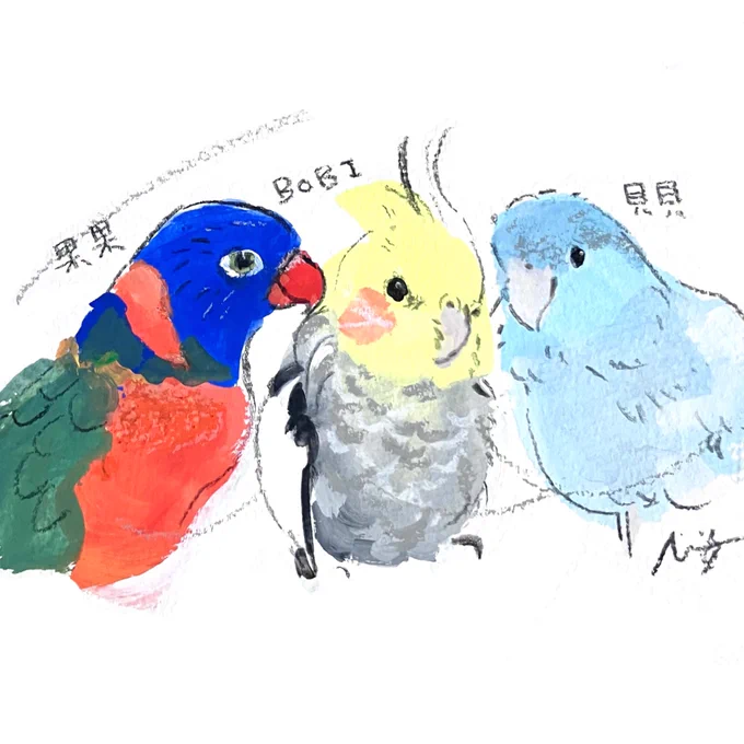 #小鳥時光 オーダー作品のご紹介 カラフルなみなさん マメルリハさん、オカメインコさん ゴシキセイガイインコさんです