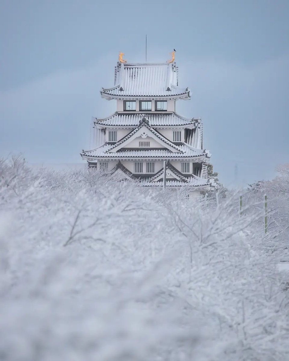 Sunomata Castle, a remarkable wooden reconstruction of Oda Nobunaga’s famous castle, stands majestically in Gifu, dusted with fresh snow 🏯❄️ While beautiful in any season, the castle takes on a special charm under a blanket of winter white. Built in just one night according to