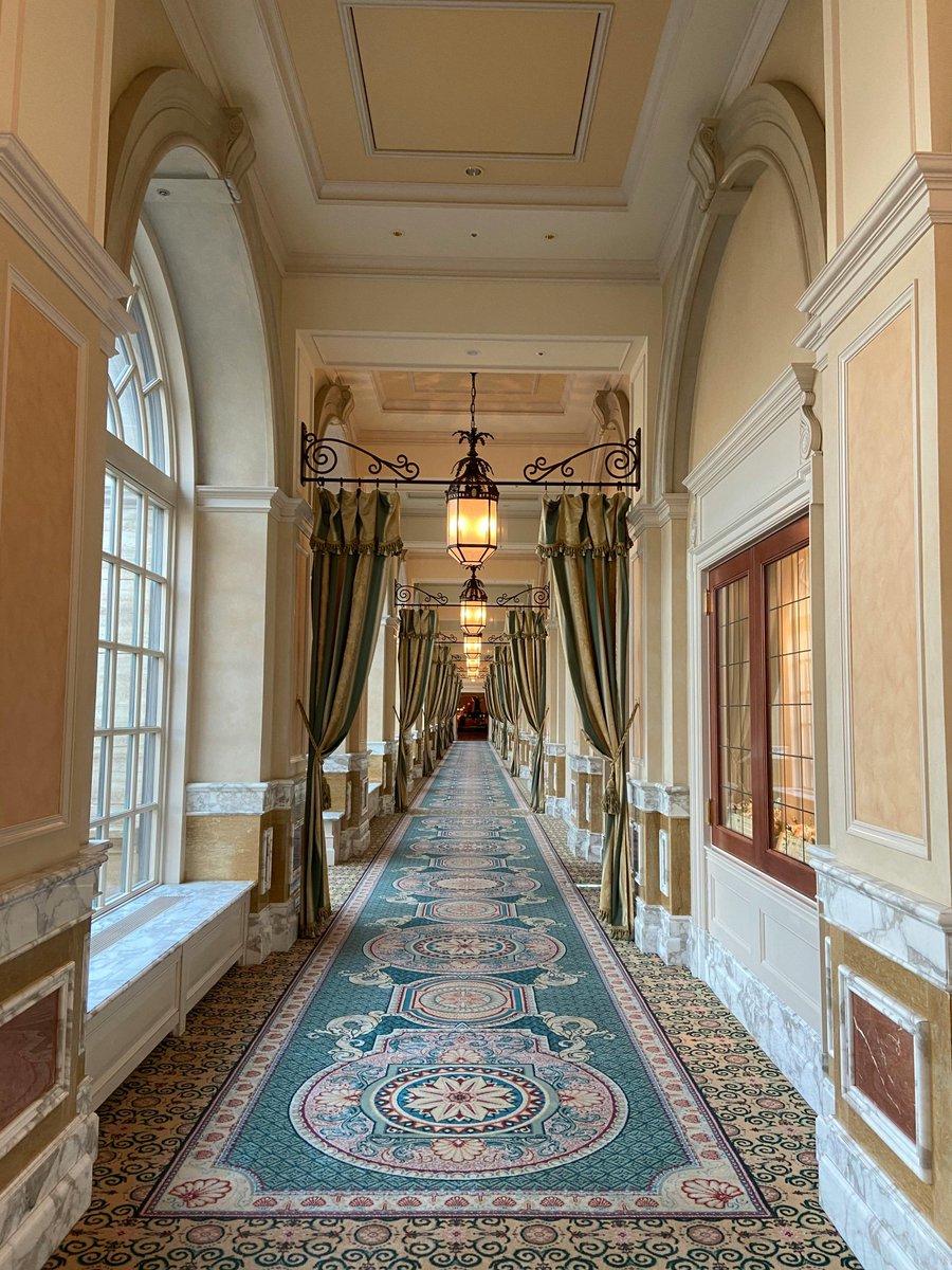 fuzzybeedecor1's tweet photo. It's just a hallway - right? Yeah, but it probably cost more to build than most houses!! Checkout the double-pane windows, under-the-window marble heater covers, recessed lighting, and exquisite carpet. 🐝🐝
#hall #halldecor #hallway #decor #mystyle #homedecor #accents #home https://t.co/U4gSRjTPxs