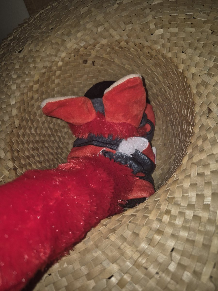 Laffy🖌🔜#FurnalEquinox2027 tweet media