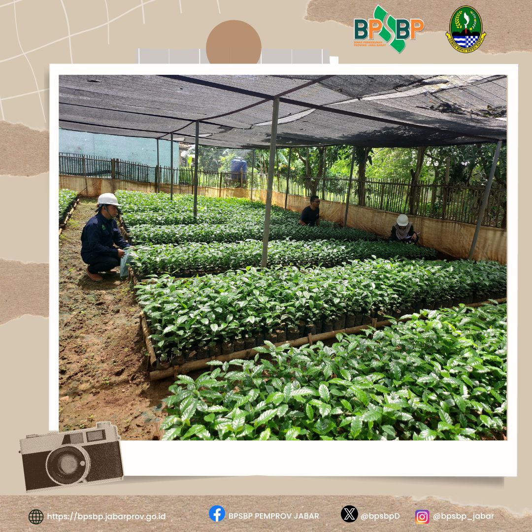 Sampurasun  #wargibun🌱

☕️🌱 Sertifikasi Benih Kopi Arabika Varietas S 795 di Kabupaten Subang 🌱☕️

BPSBP melaksanakan sertifikasi benih kopi Arabika varietas S 795 di Desa Cigadung, Kecamatan Subang, Kabupaten Subang. 
@gandjar_yudniarsa  
<a href="/humas_jabar/">Inspirasi Jawa Barat</a> @bppdisbun