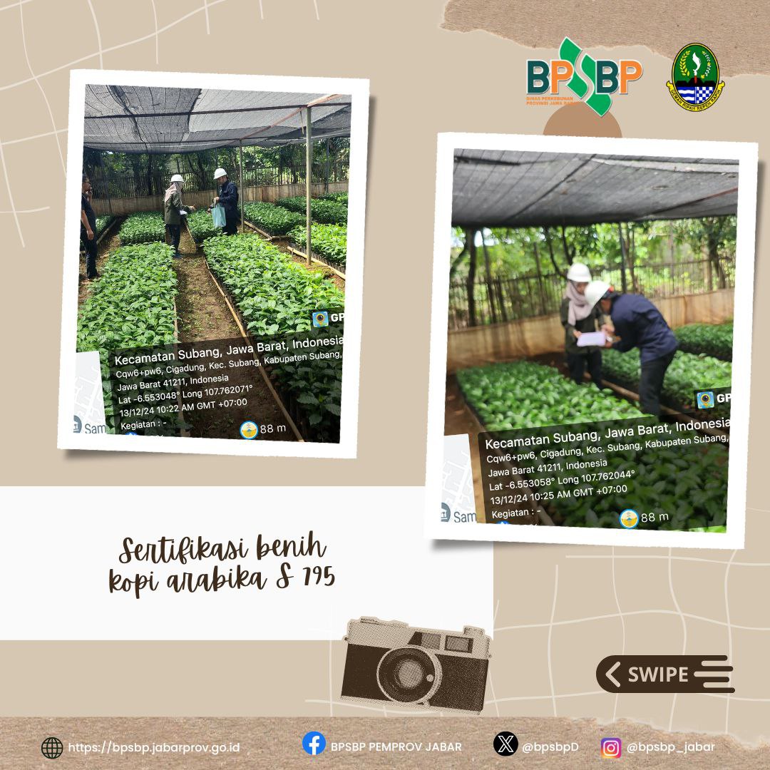 BPSBP.DisbunJabar tweet media