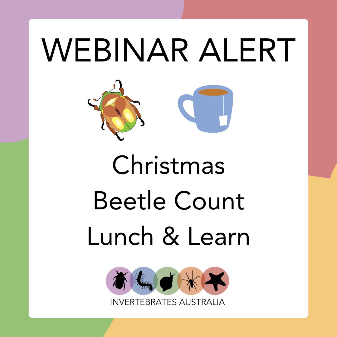 We are hosting a webinar about the Christmas Beetle Count tomorrow! Dr Tanya Latty and Dr Kate Umbers will be on hand to answer your questions on 17th of December from 12.30pm AEDT.
Even if you can’t join live, sign up, and you will be sent the recording: us06web.zoom.us/webinar/regist…