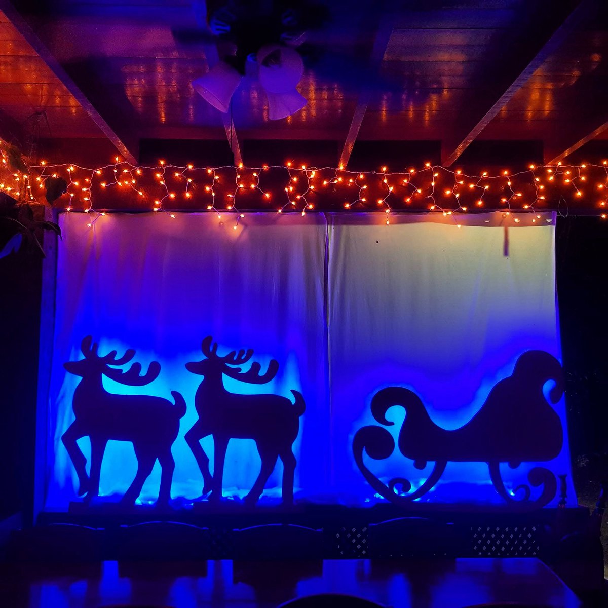 𝑪𝒉𝒓𝒊𝒔𝒕𝒎𝒂𝒔 𝒎𝒂𝒈𝒊𝒄 𝒊𝒔 𝒊𝒏 𝒕𝒉𝒆 𝒂𝒊𝒓 𝒂𝒕 𝑪𝒂𝒗𝒆𝒔 𝑩𝒓𝒂𝒏𝒄𝒉! 🎄✨

#ChristmasAtCavesBranch #HandmadeHolidays #JungleChristmas #CavesBranchMagic #Belize #Travel #Family #Vacation