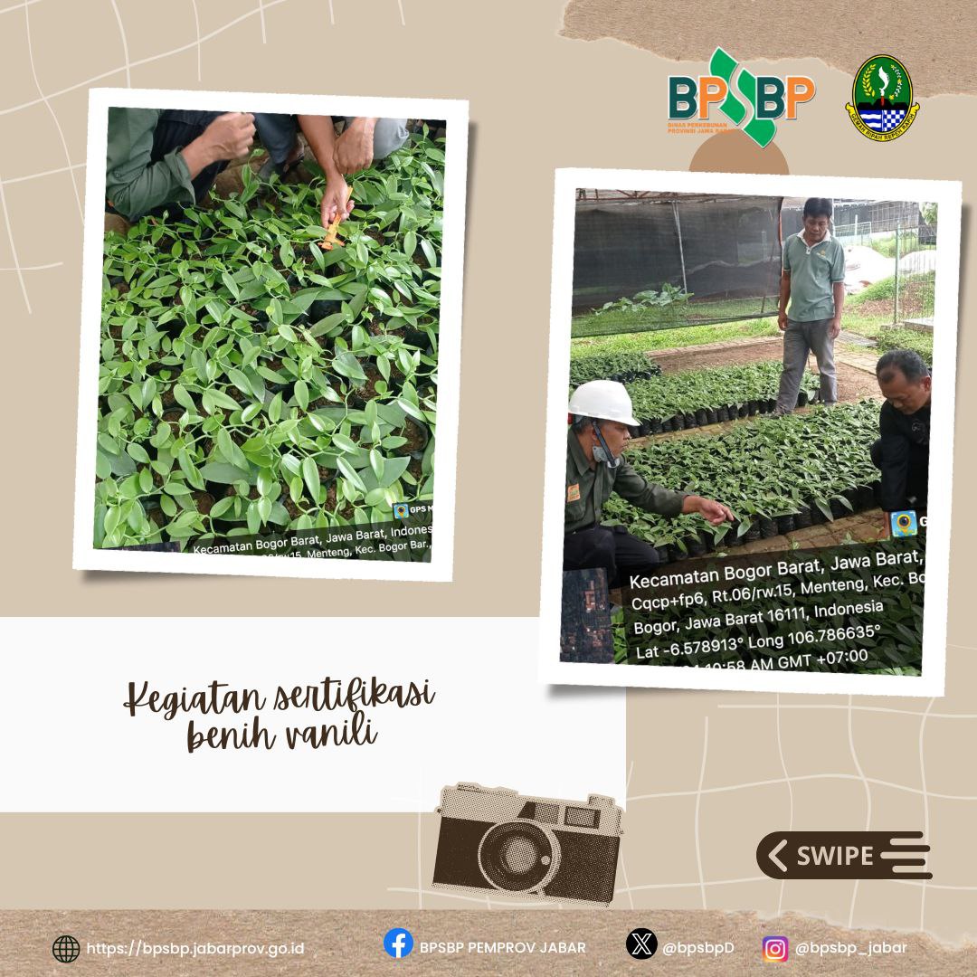 BPSBP.DisbunJabar tweet media