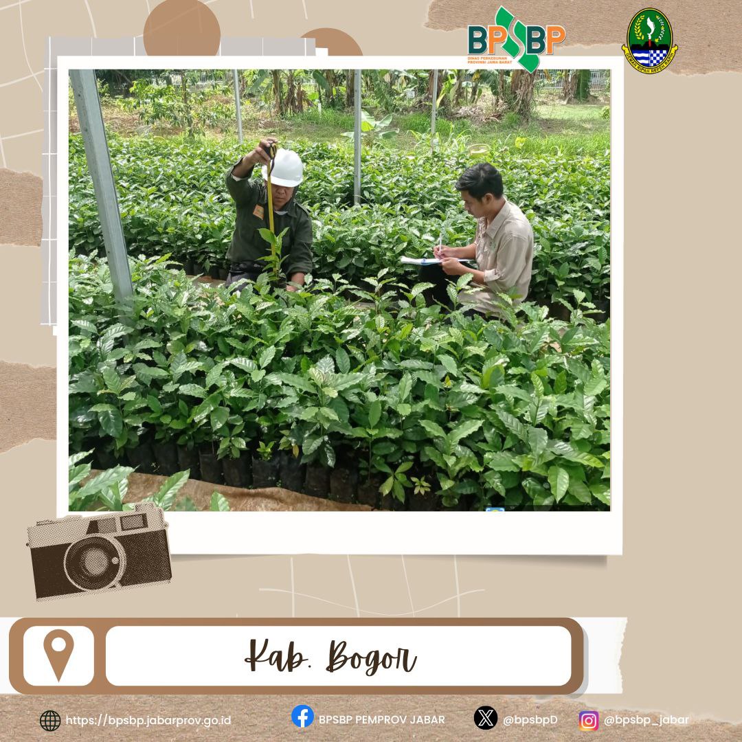 Sampurasun  #wargibun🌱

☕️🌱 Sertifikasi Benih Kopi Robusta di UPT Wilayah 1 Bogor 🌱☕️

BPSBP melaksanakan kegiatan sertifikasi benih kopi robusta di UPT Wilayah 1 Bogor.

@gandjar_yudniarsa  
<a href="/humas_jabar/">Inspirasi Jawa Barat</a> @bppdisbun @balaibenihbun1_jabar <a href="/disbunjabar/">Disbun Jabar</a>