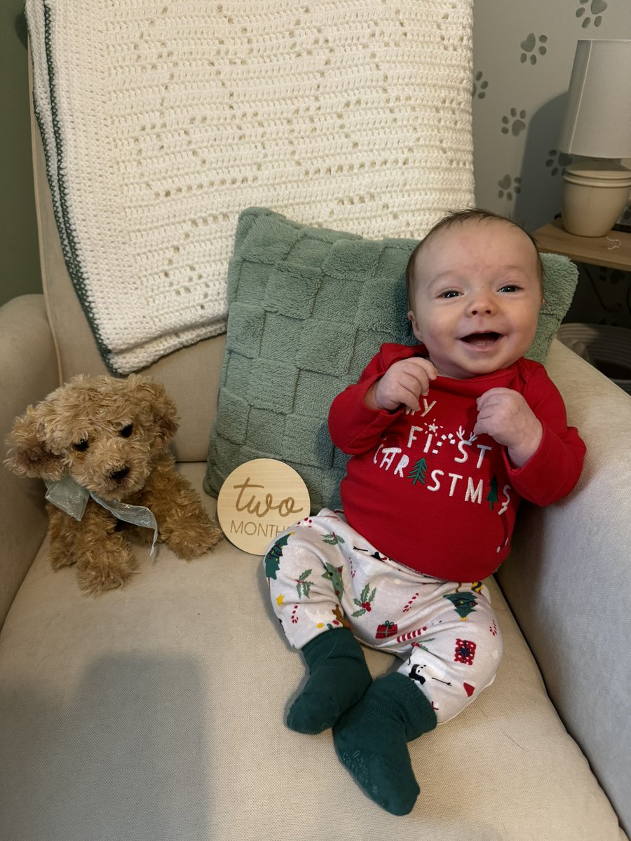 2 months old and ready for Christmas!