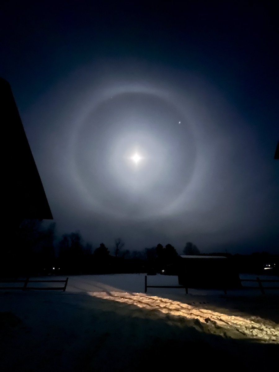 moon dog tonight! ✨