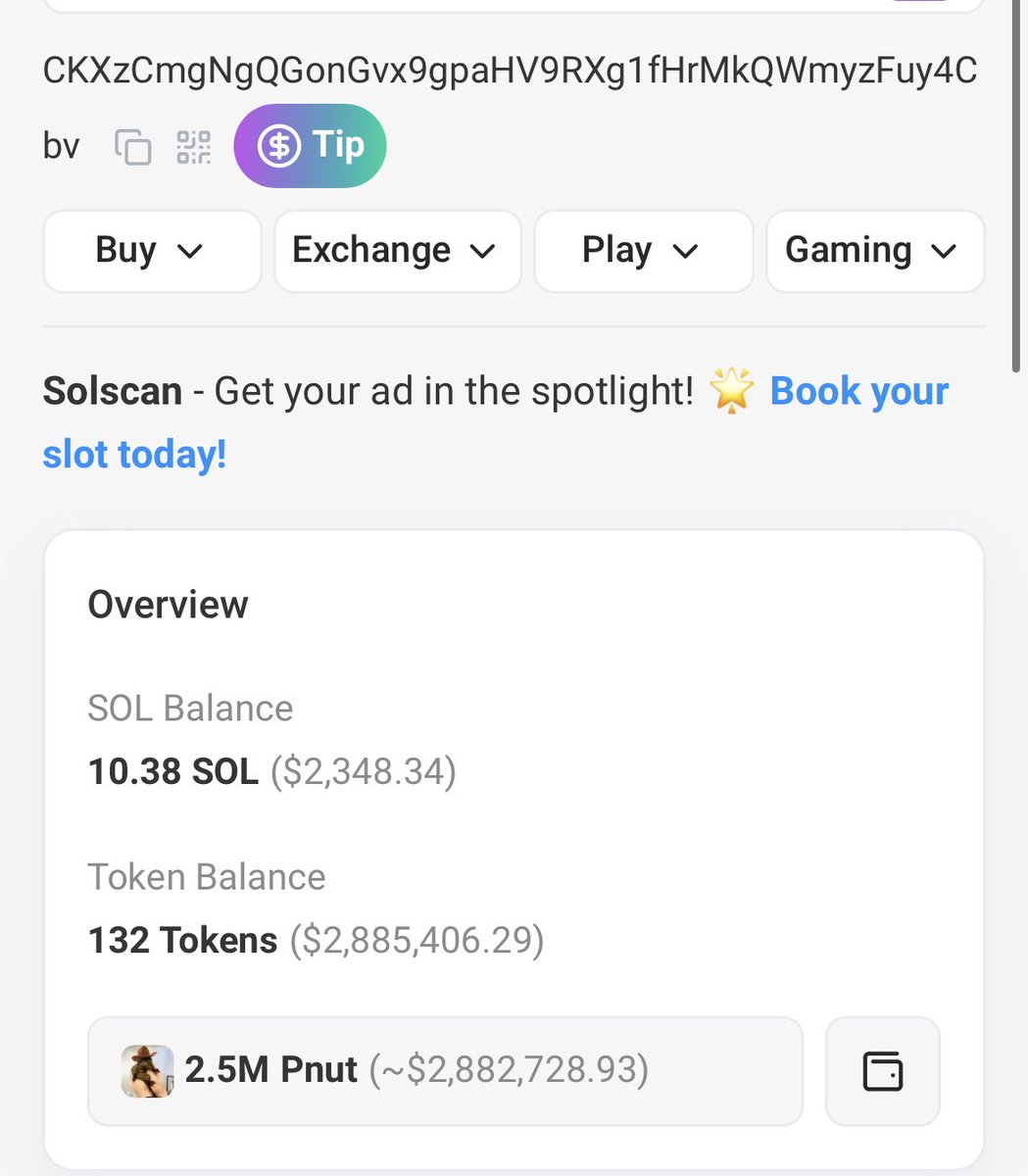 Follow the smart money 👀

$pnut giga whale aped #asscoin