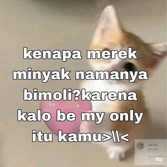 장, Yeojun. tweet media