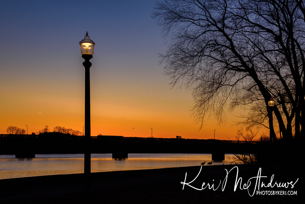 PhotosByKeri's tweet photo. Sun Down, Lights Up 12/13/24
#2024Project52 #Week50
December’s early sunsets can be elusive, but I they can be nice! Without a cloud in the sky, I chose a different location. As the sun sank behind the bridge the lights came on one by one, magically. #mawx https://t.co/K9KIdSVuXE https://t.co/Nk0EmSWAYn
