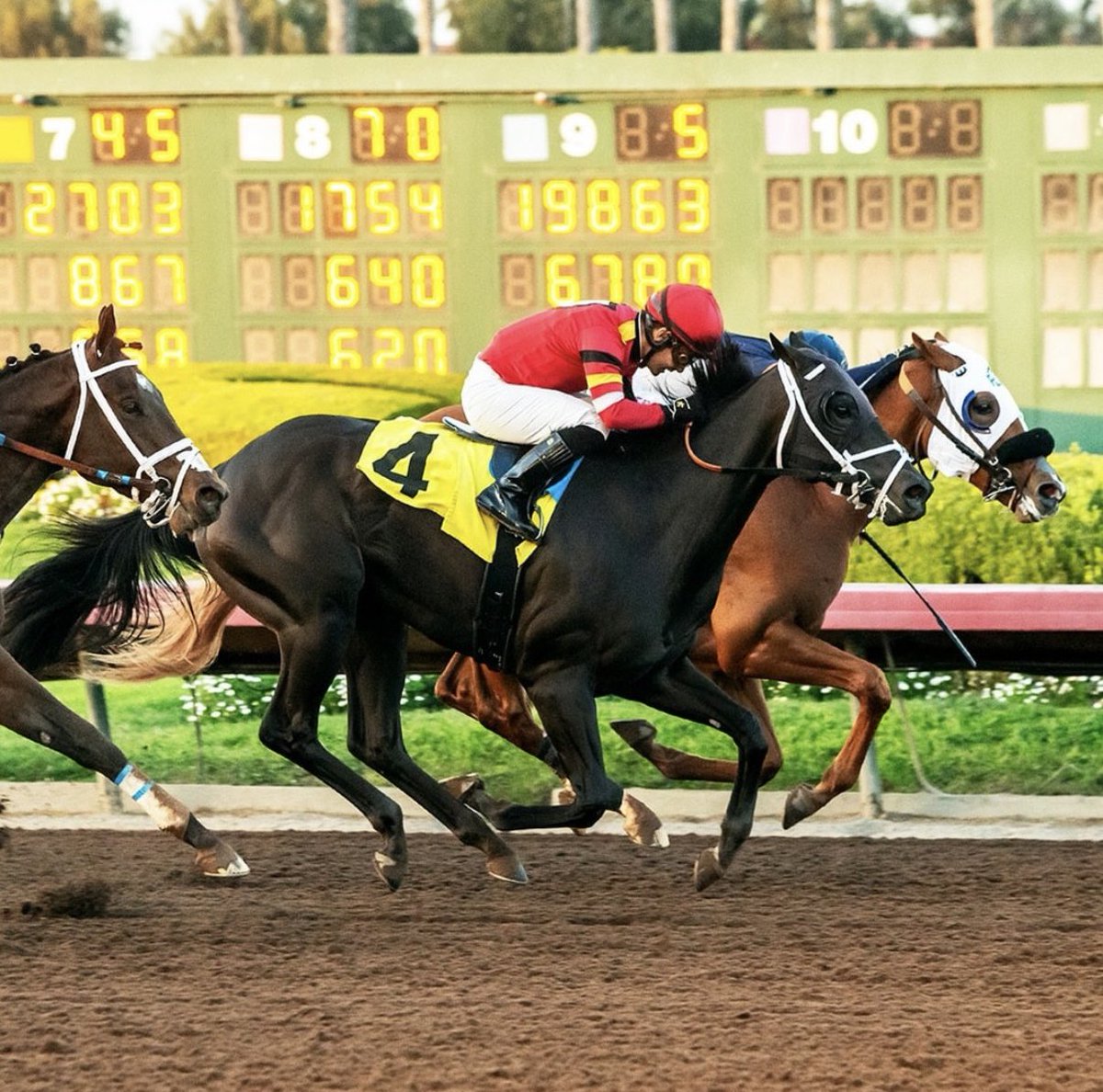 Eclipse 24 graduate, Shea Brennan won the $100,000 King Glorious Stakes today!  Congratulations to this talented son of Tough Sunday.