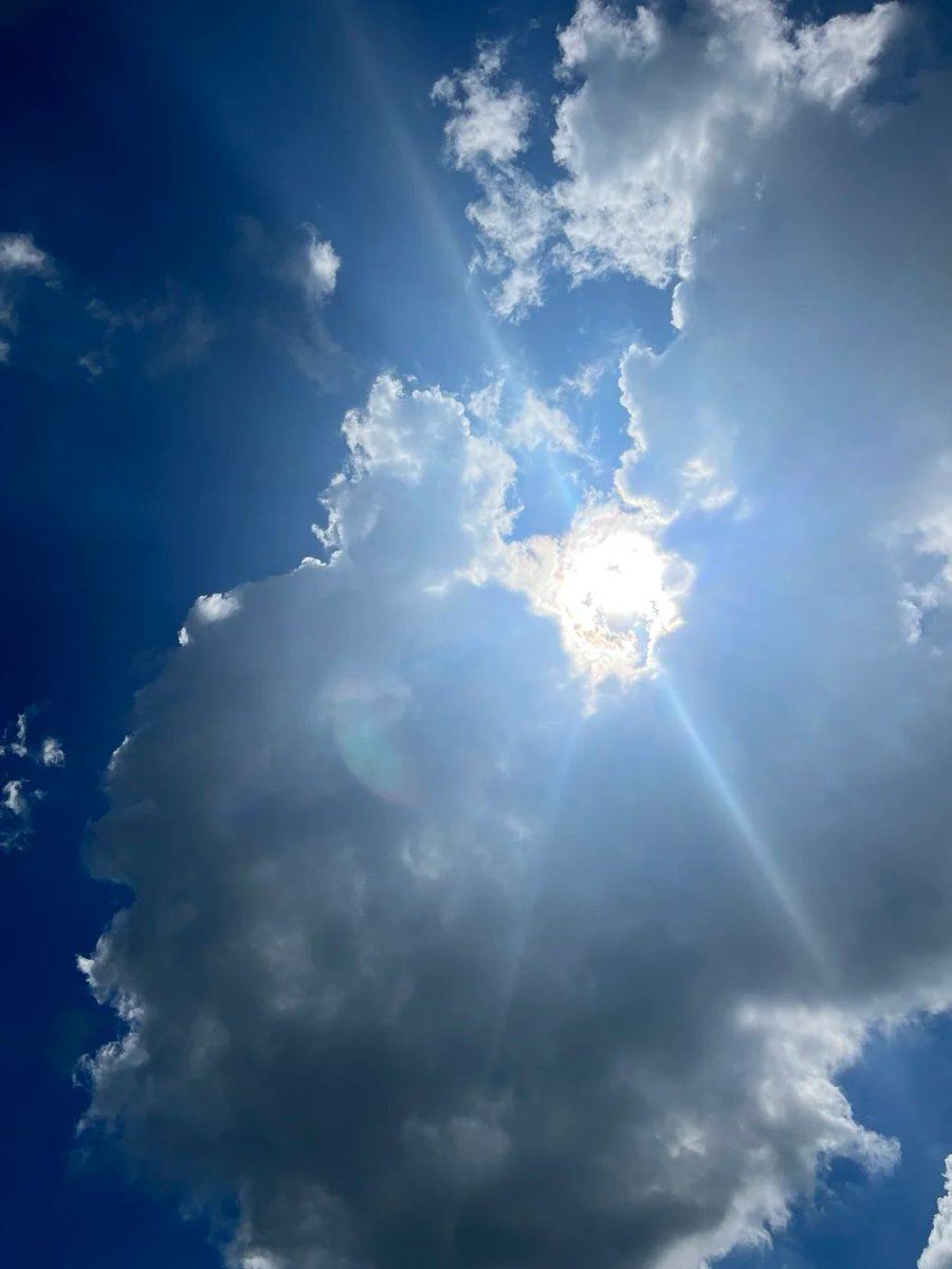 おはようございます🌤
また一週間が始まりました!🤗