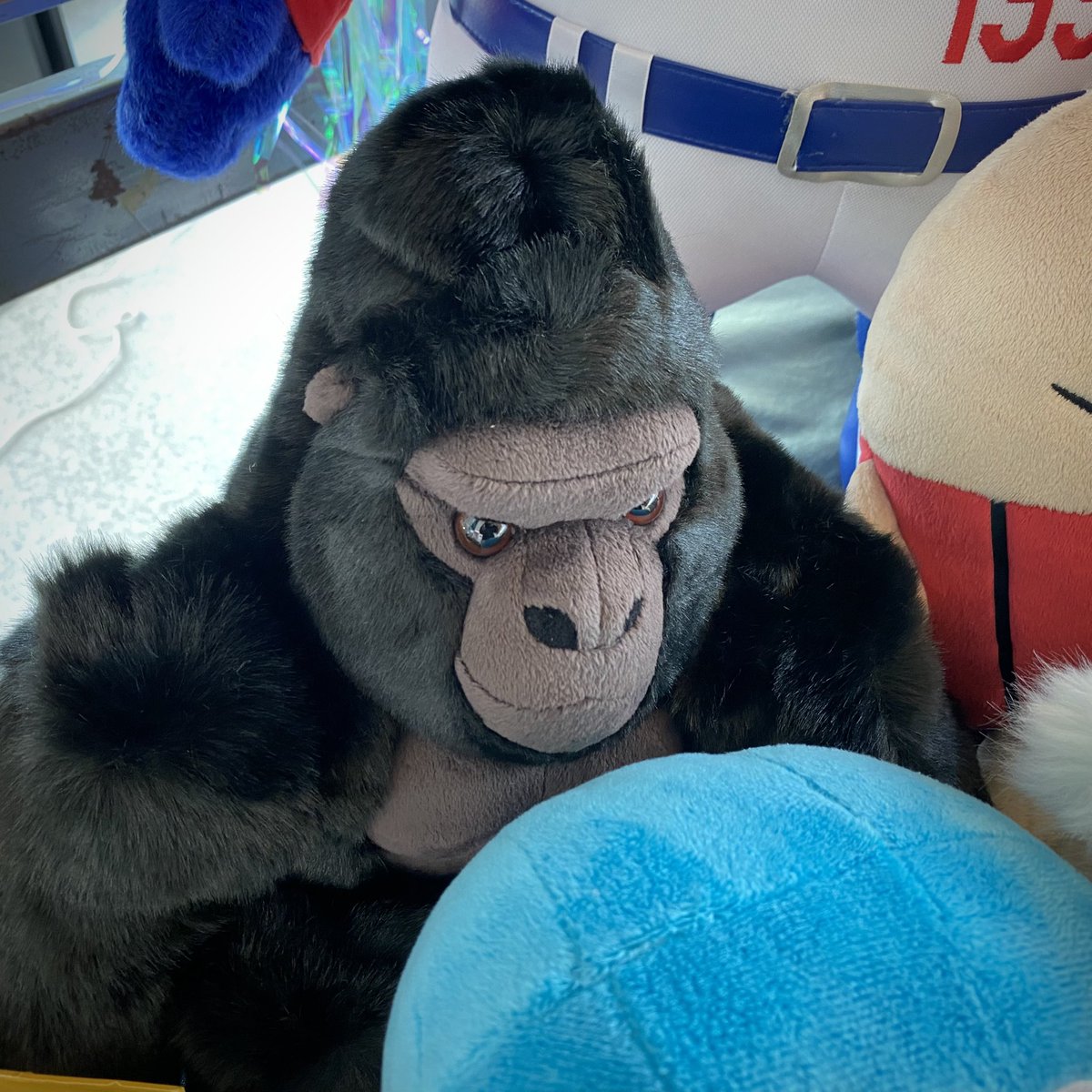 八橋さんのポストで気付いたけど 昨日あいみょんのインスタストーリー
