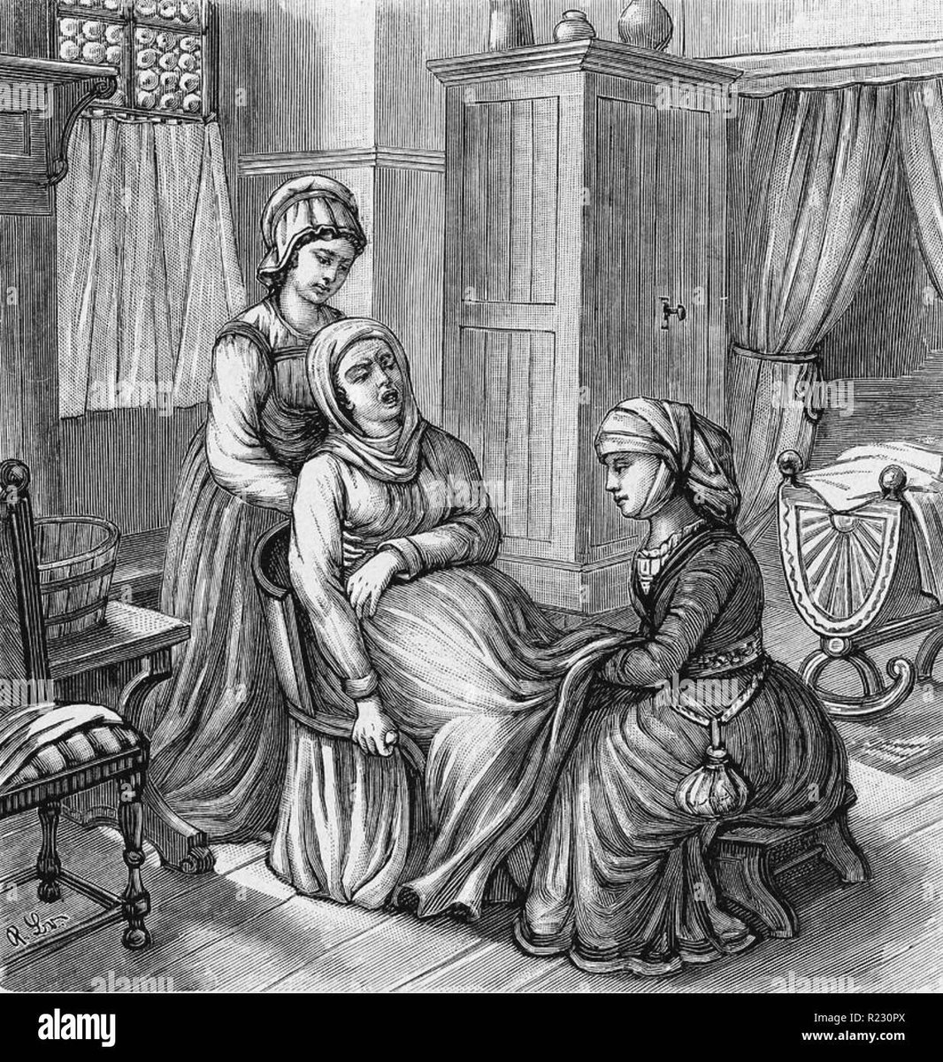 Clean City Bird tweet media