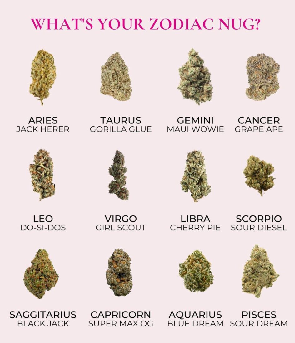 🍃💨Weeders💨🍃 tweet media