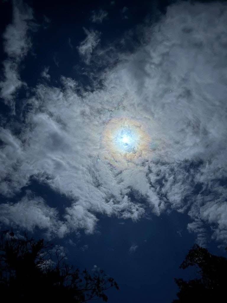 LitsukoM's tweet photo. 満月🌕

ダブルレインボー🌈

祝福が満ち満ち���れる

感謝を循環していこう https://t.co/6Dv0QZChyx