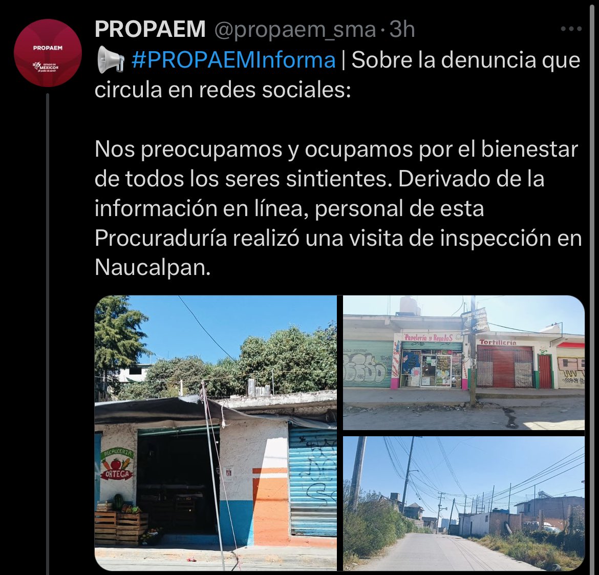 elpaconovoa's tweet photo. @Libro_negro_ https://t.co/MhChMn4f54
