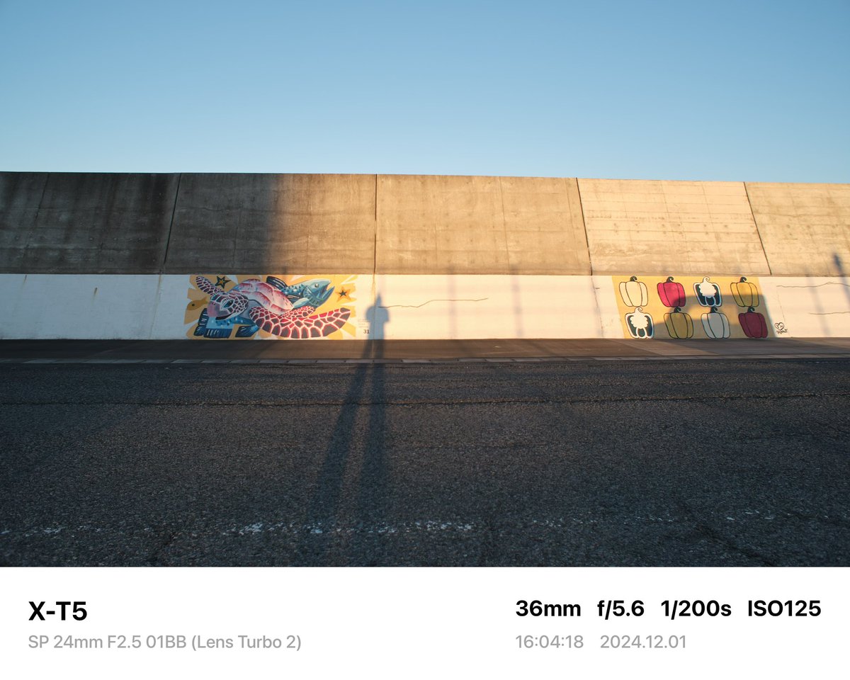 suga_photo12's tweet photo. 【電車じゃ行きにくい場所に行く】リベンジしてきました。

Camera→FUJIFILM X-T5
Lens→SP 24mm F2.5 01BB
Adapter→Lens Turbo Ⅱ

#tamron #sp24mmf25 #lensturbo2 #filmsmulation #日川浜海水浴場 #風力発電 #風車 #ライオンの隠れ家 #fujifilm #xt5 #オールドレンズ #oldlens #photography https://t.co/TtYCQNTUza