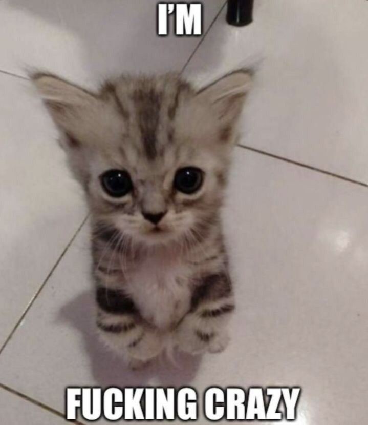 ‍ ‍ ‍‍ ‍ ‍ ‍ ‍ ‍ ‍ ‍ ‍ ‍ ‍ ‍𝓢𝗍𝖾𝗉𝗁 (@wafflesnpurple) on Twitter photo 