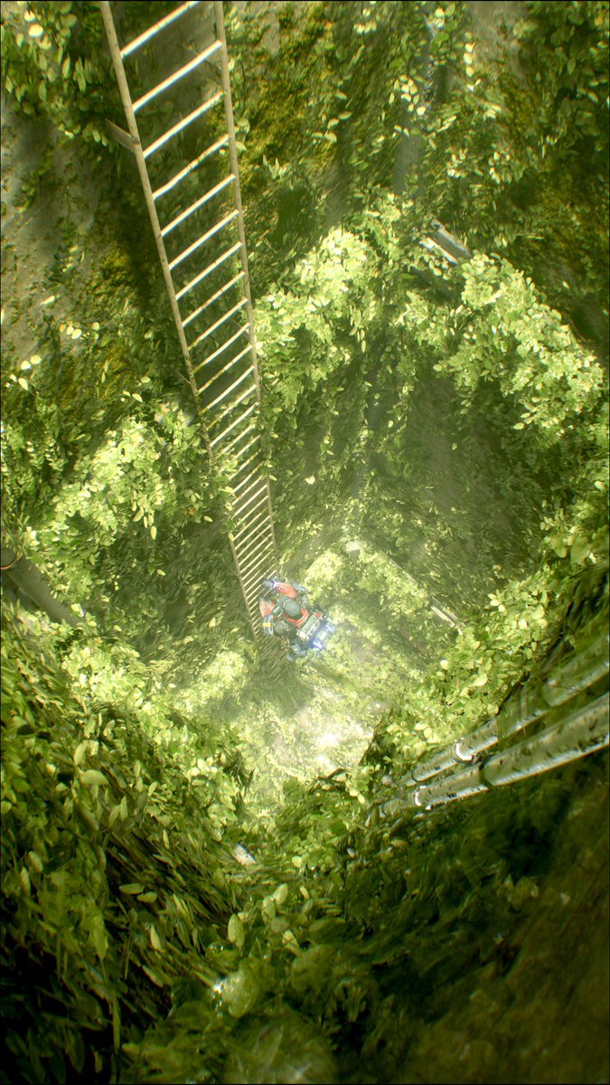 Kaztella 🐋 tweet media