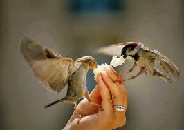 دعوة فجرية
#صباح_الخير_والسعاده_للجميع
🦋"يارب أجعلني🦋 ذُو حظ عظيم ، وشأن🦋 عظيم وسخر لي الأرض🦋 ومن عليها 🦋، وأرزقني رزقاً وفيراً ، وبارك لي فيه 🦋، وهب🦋 لي ما أتَمَنَّى وما أريد ، يا الله أغفر لي إن🦋 سَهَّيَت🦋 يوم ولم أحمدك ، وإِنْ نَسيتُ يوماً . ولم أشكرك 🦋"🤲🏻✨🦋