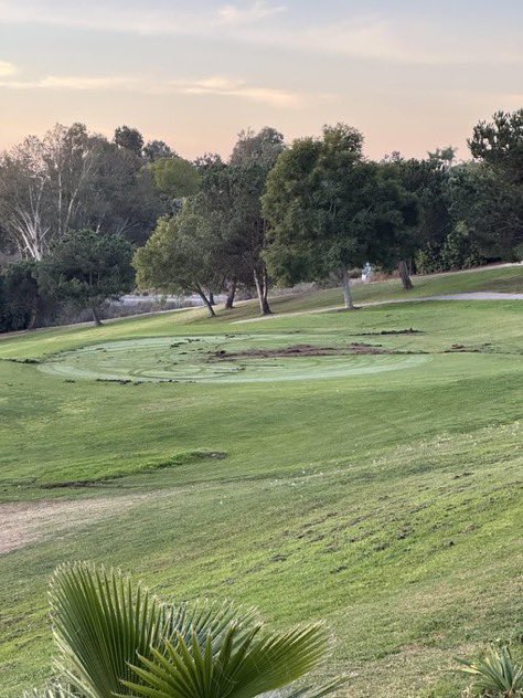 Tour Golf (not PGA Tour) tweet media