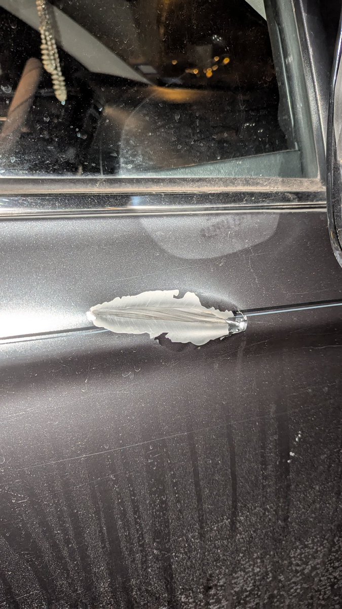 MadelynWeirich's tweet photo. @NickGom79339097 @DenverPolice Left three giant bullet holes in my car 😭 https://t.co/WiZercHtfk