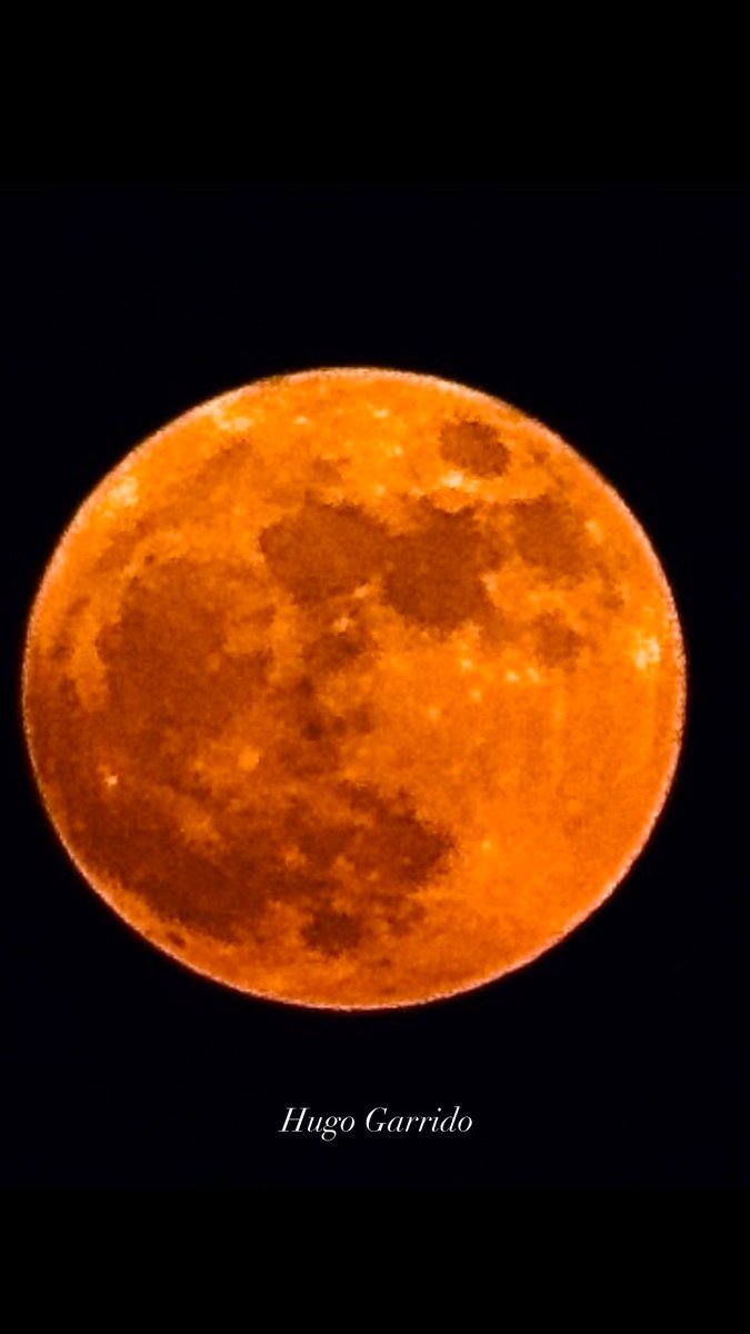 fotogarrido's tweet photo. Luna.
#HugoGarrido 📸 https://t.co/8jfSbWoffS