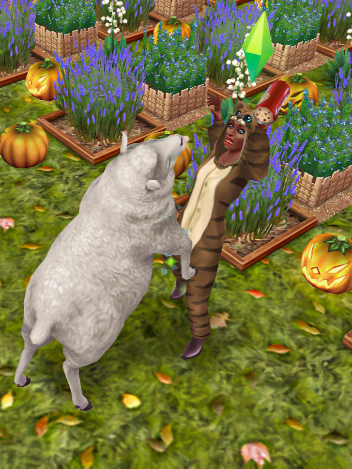 Jay Simmerz tweet media