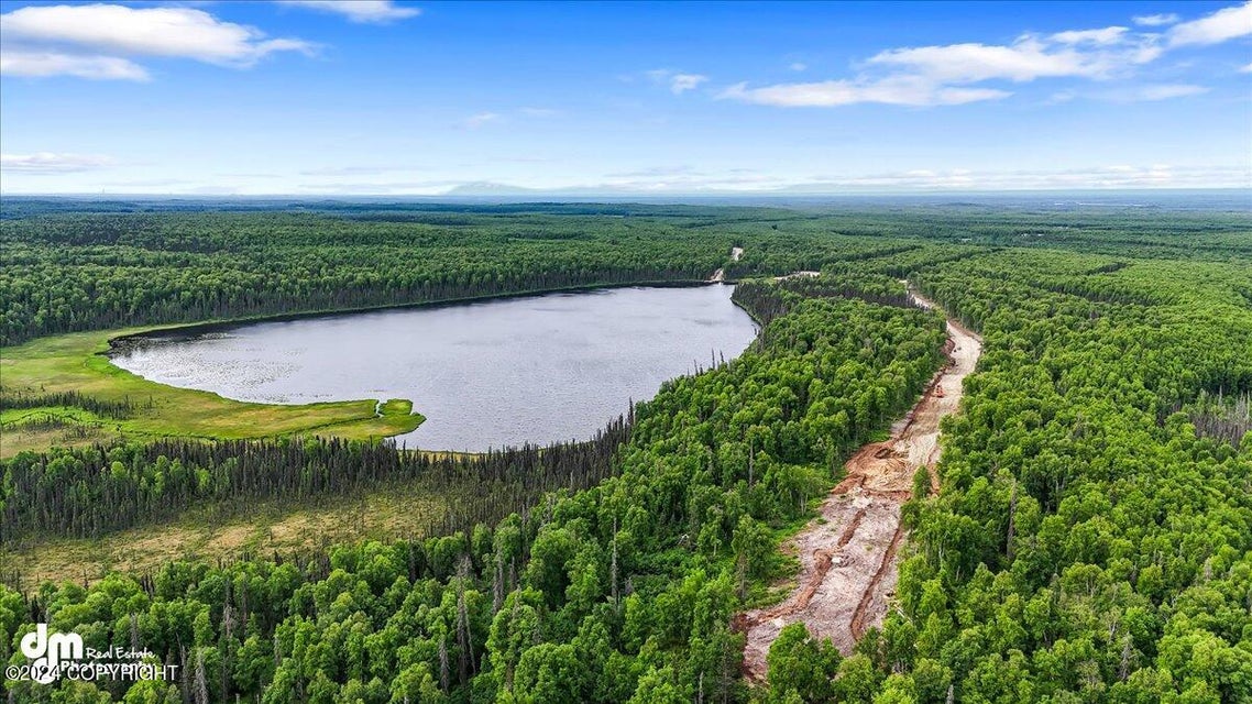 Baldy Lake Airpark: 1,300-acre off-grid community in Alaska.

escape2alaska.com