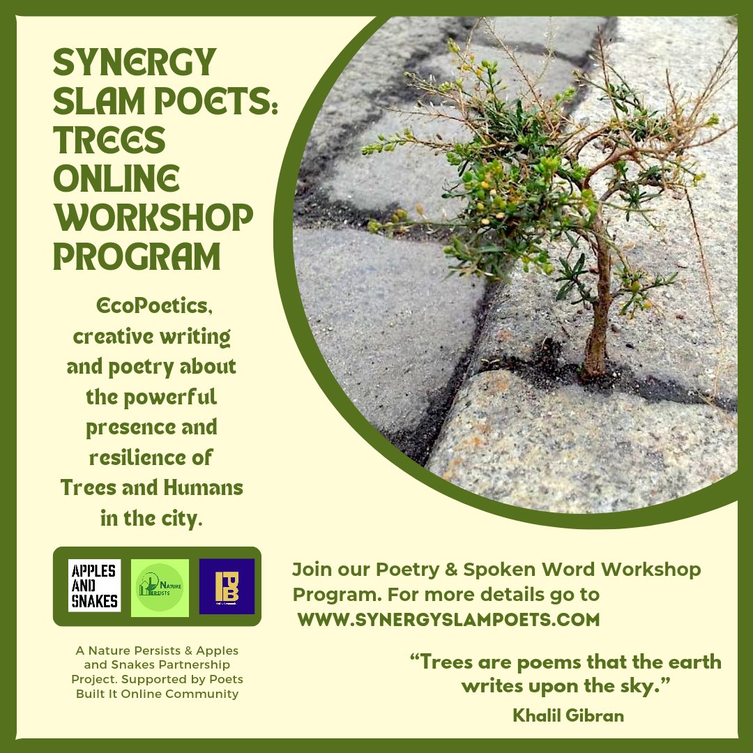 Synergy Slam Poets tweet media